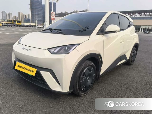 BYD Seagull 2024 Белый из Китая