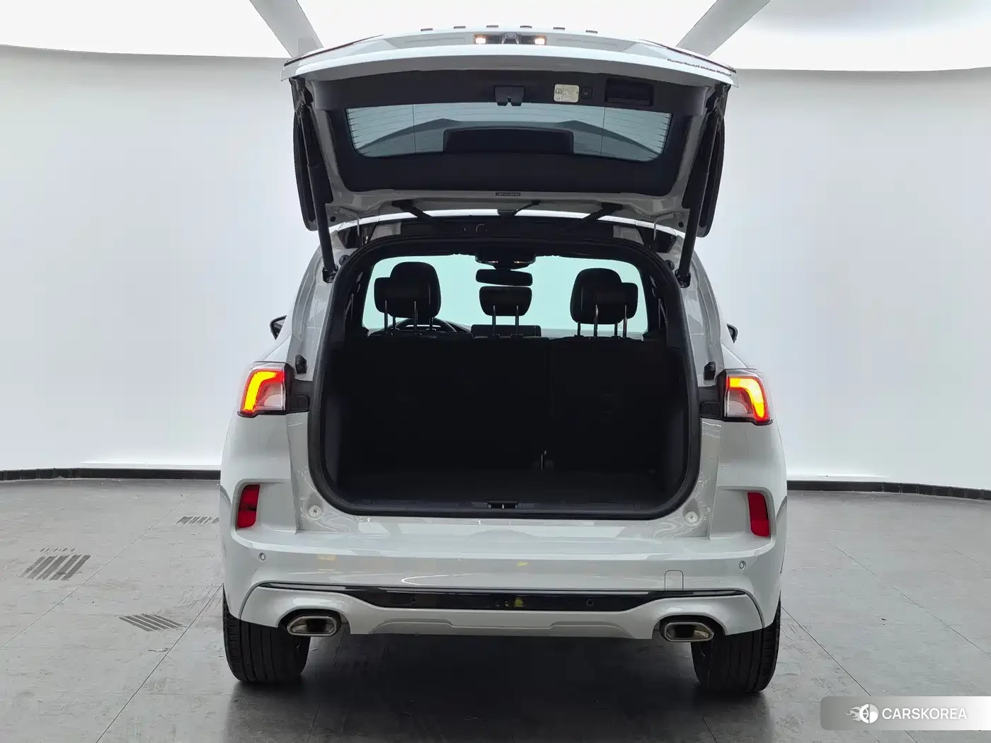 Ford Ruiji 2023 Silver/gray из Китая