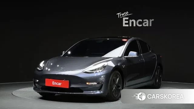 Tesla Model 3 2020 Серый из Кореи
