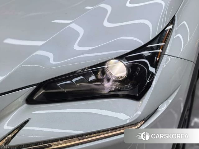 Lexus NX 2018 Белый из Китая