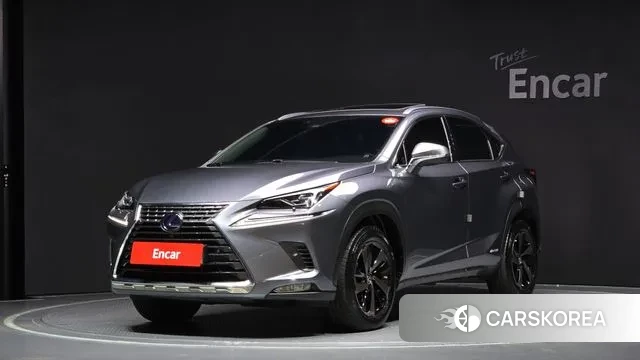 Lexus NX300h 2020 Серый из Кореи