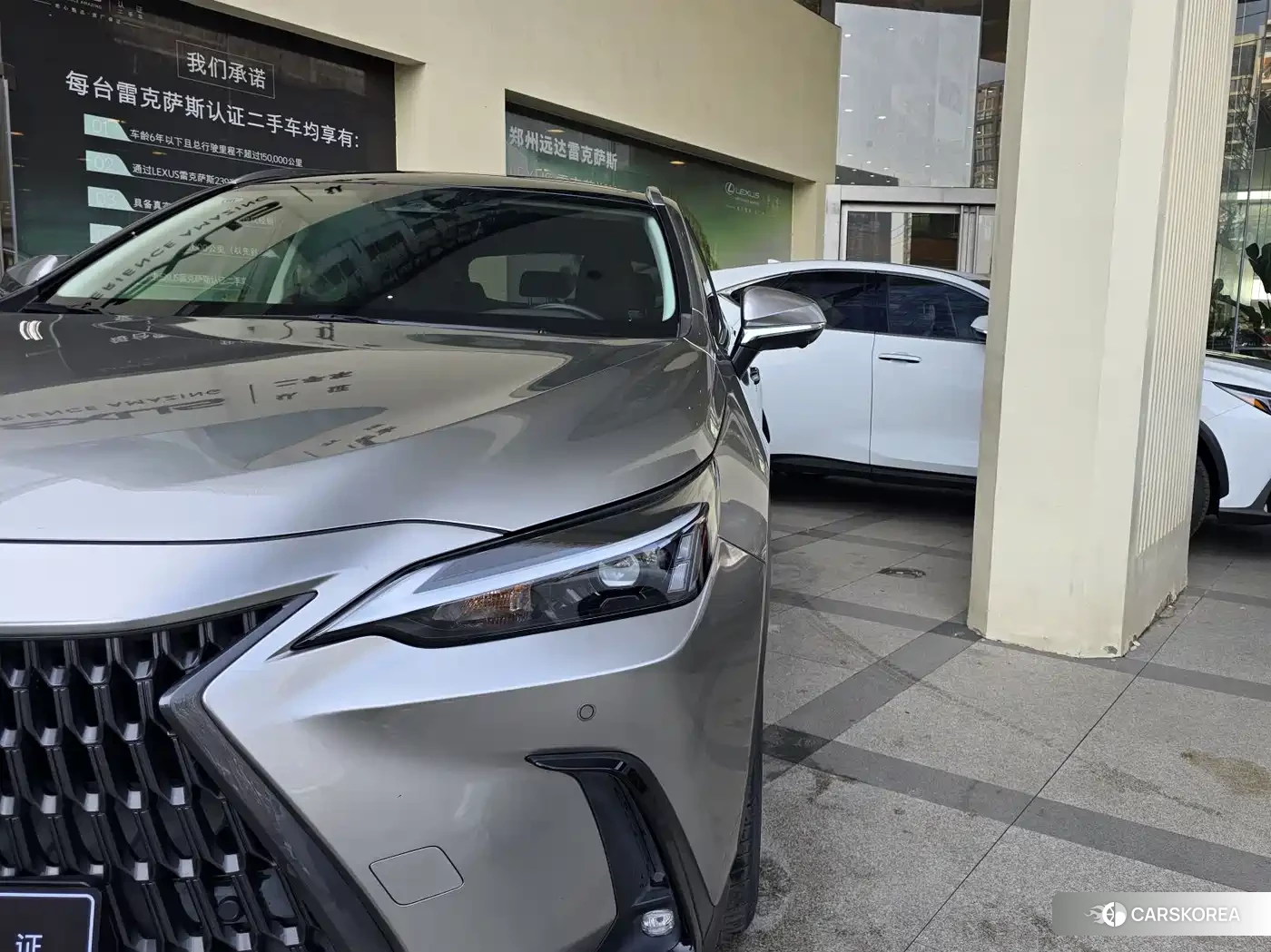 Lexus NX 2022 Silver/gray из Китая