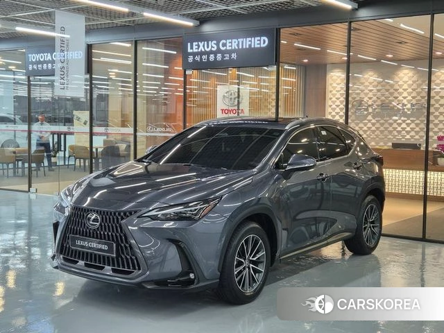 Lexus NX450h + 2nd generation 2025 Серый из Кореи