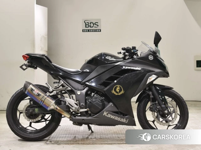 Kawasaki NINJA 250 2014 из Японии