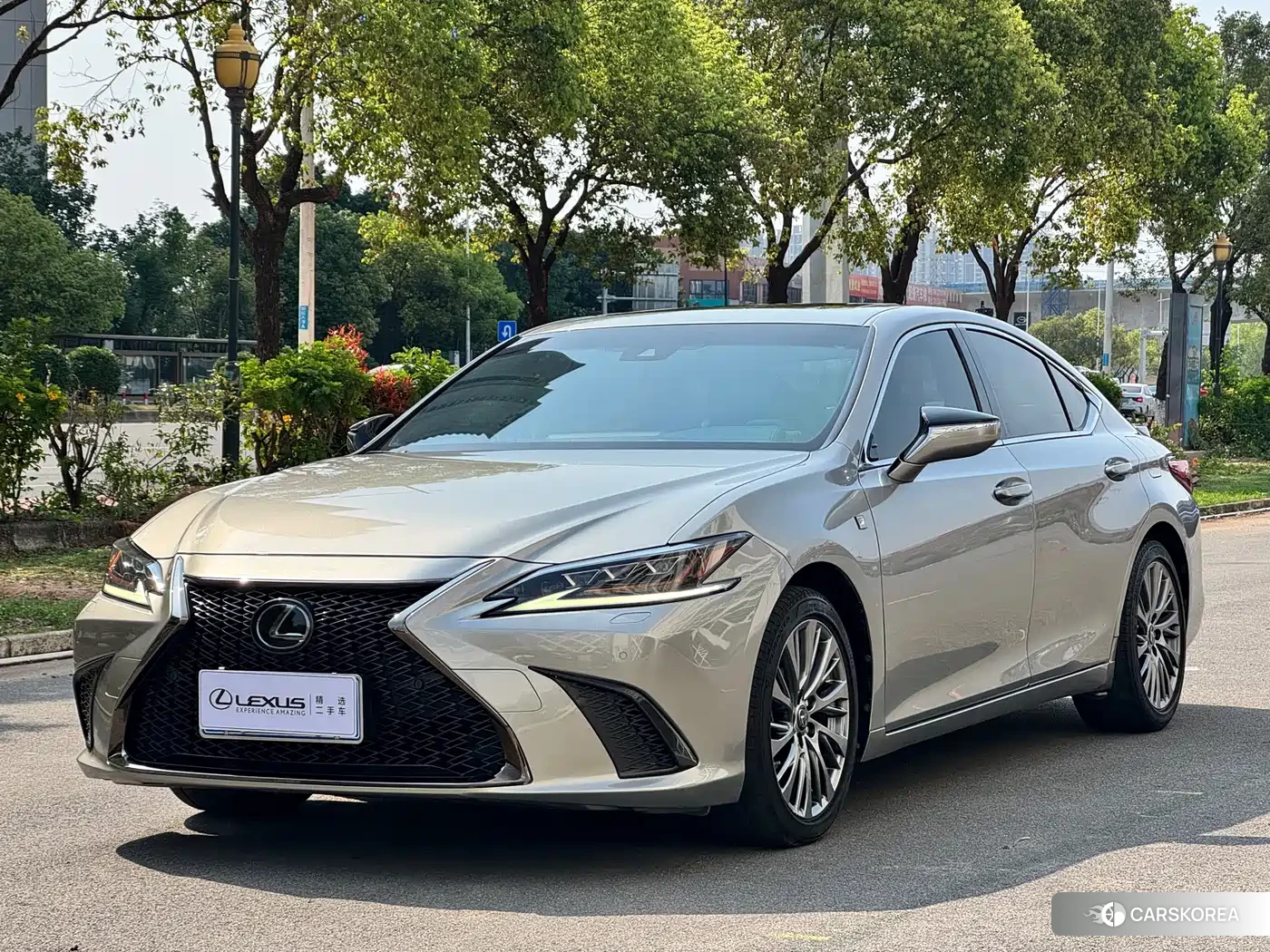 Lexus ES 2018 Silver/gray из Китая
