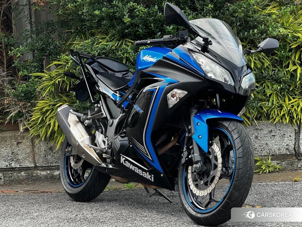 Проданный OTHER Ninja 250 SE 2015 из Японии