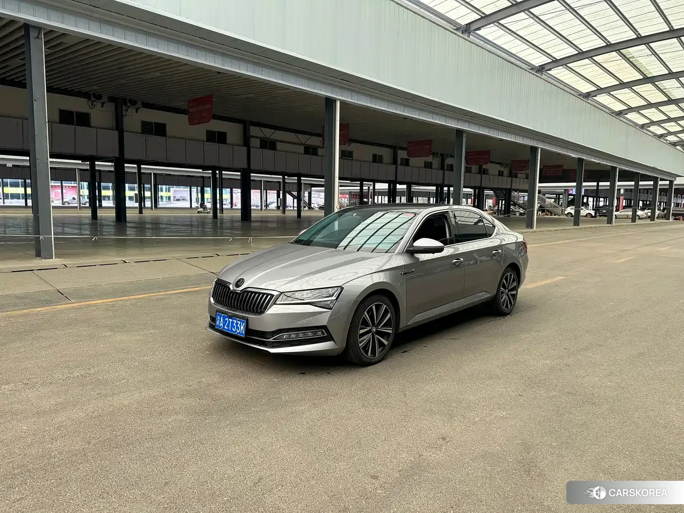 Skoda Speed pie 2022 Silver/gray из Китая