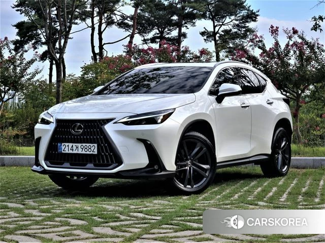 Lexus NX350h Second generation 2025 Белый из Кореи