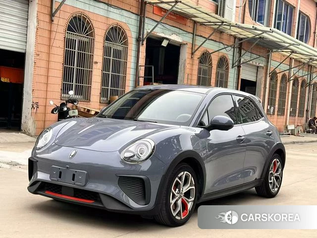 Euler Good cat GT 2022 Серебристо-серый из Китая