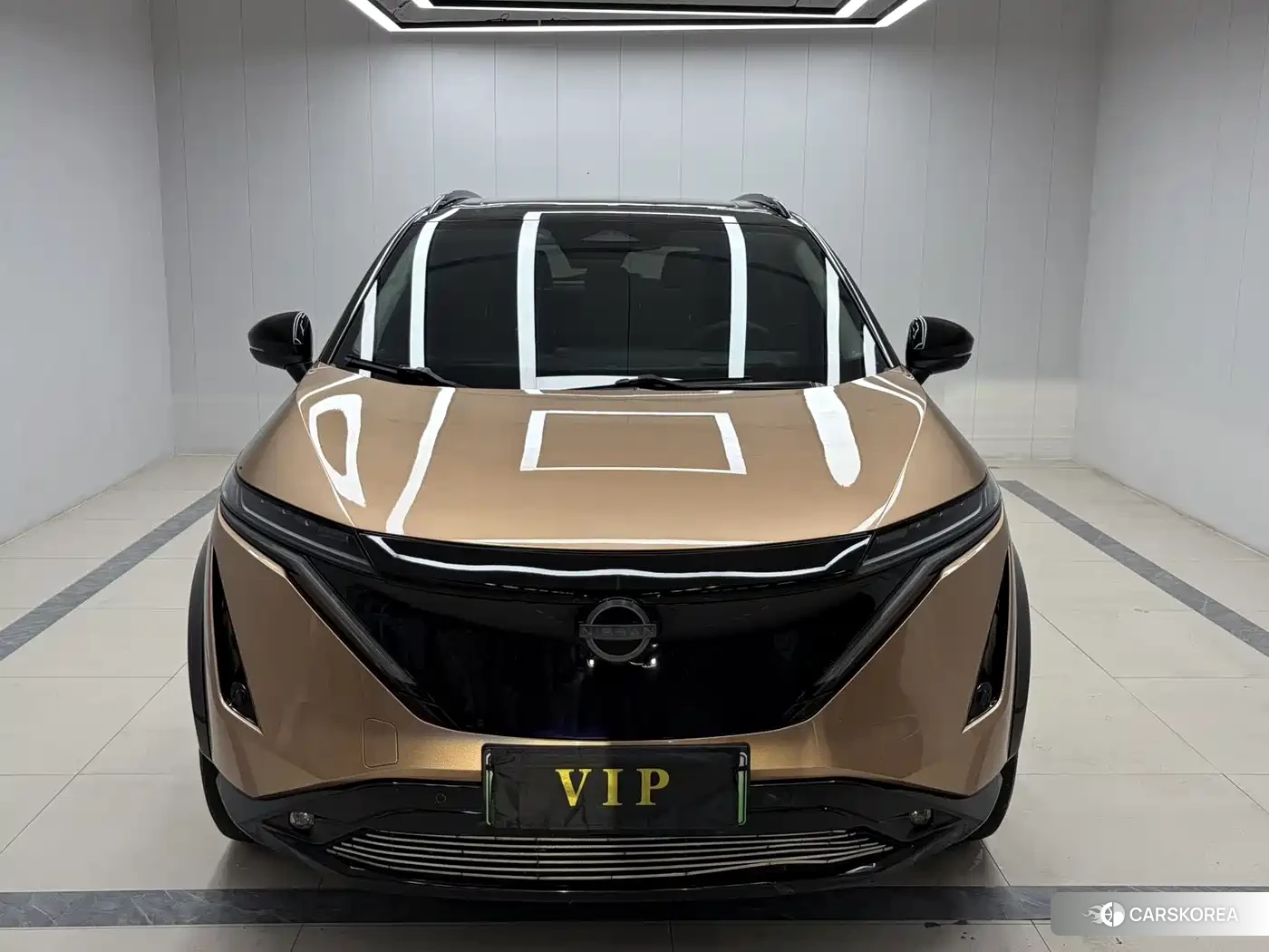 Nissan Ariya 2024 Champagne/brown из Китая, фото 2