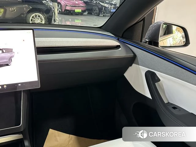 Tesla Model Y id 4207009 из Китая 2