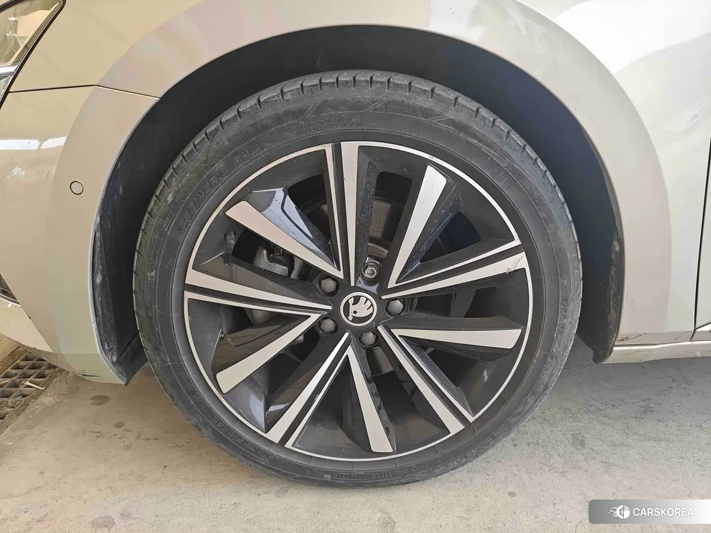 Skoda Speed pie 2021 Champagne/brown из Китая, фото 2