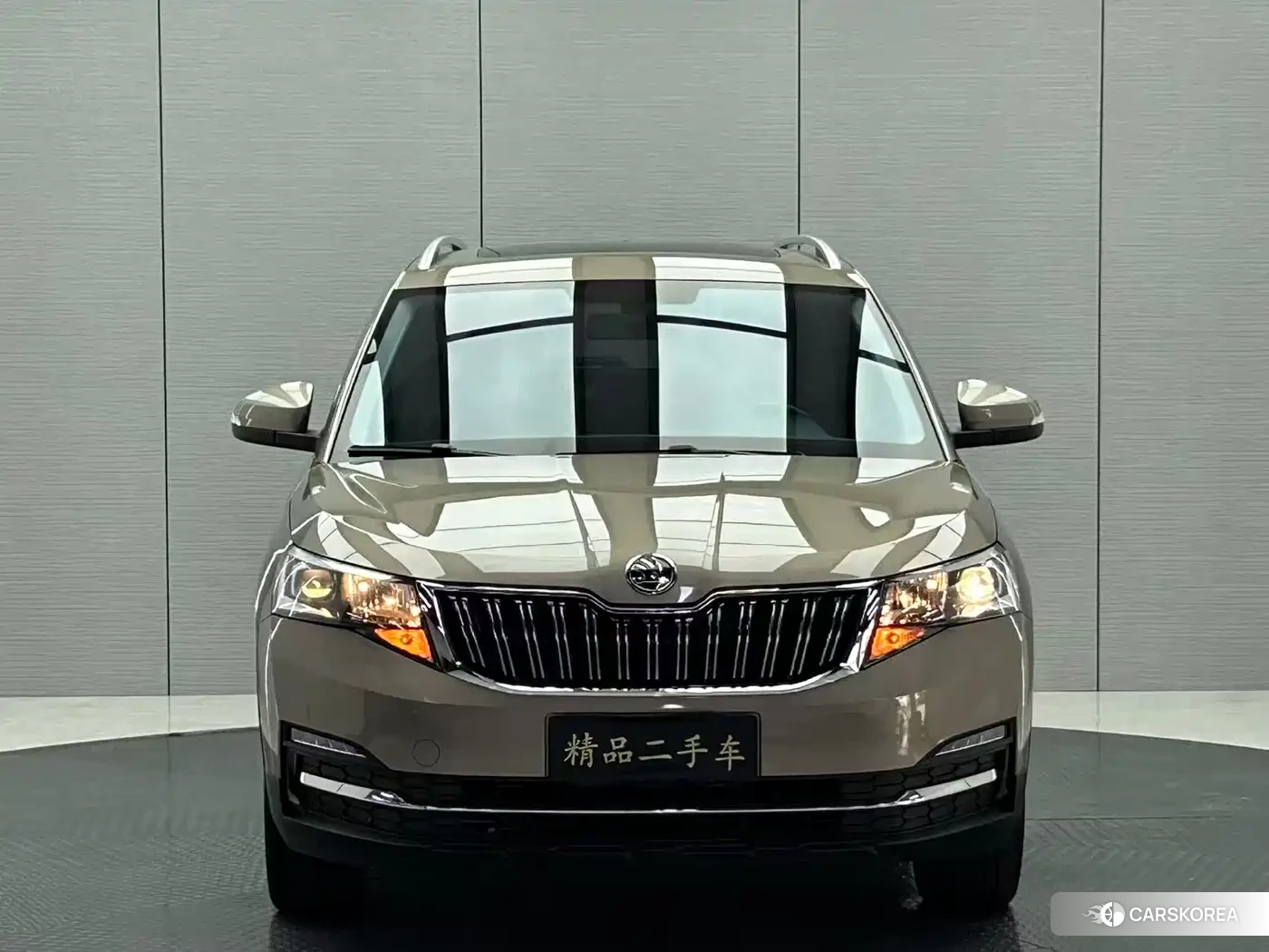 Skoda Komick 2023 Champagne/brown из Китая, фото 2