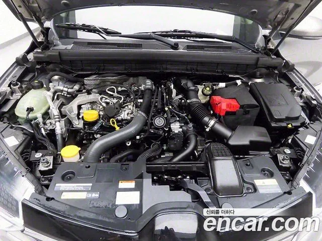 Renault Korea (Samsung) XM3 2020 Цвет тростника из Кореи, фото 2