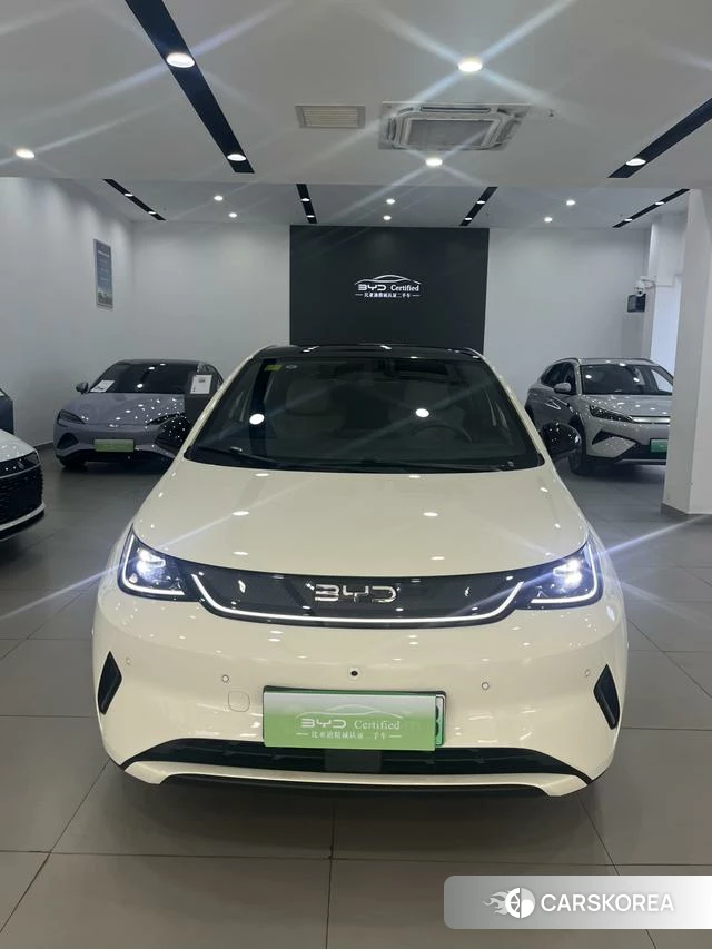 BYD dolphin 2025 Белый из Китая, фото 2
