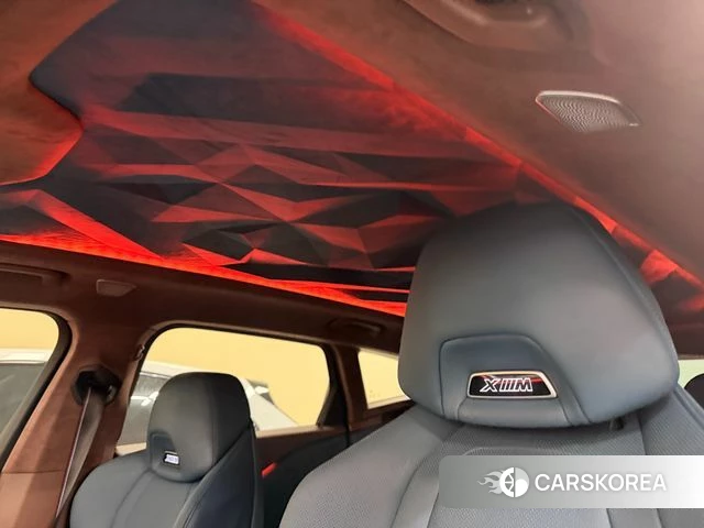 BMW XM (G09) 2023 Темно-зеленый из Кореи, фото 2