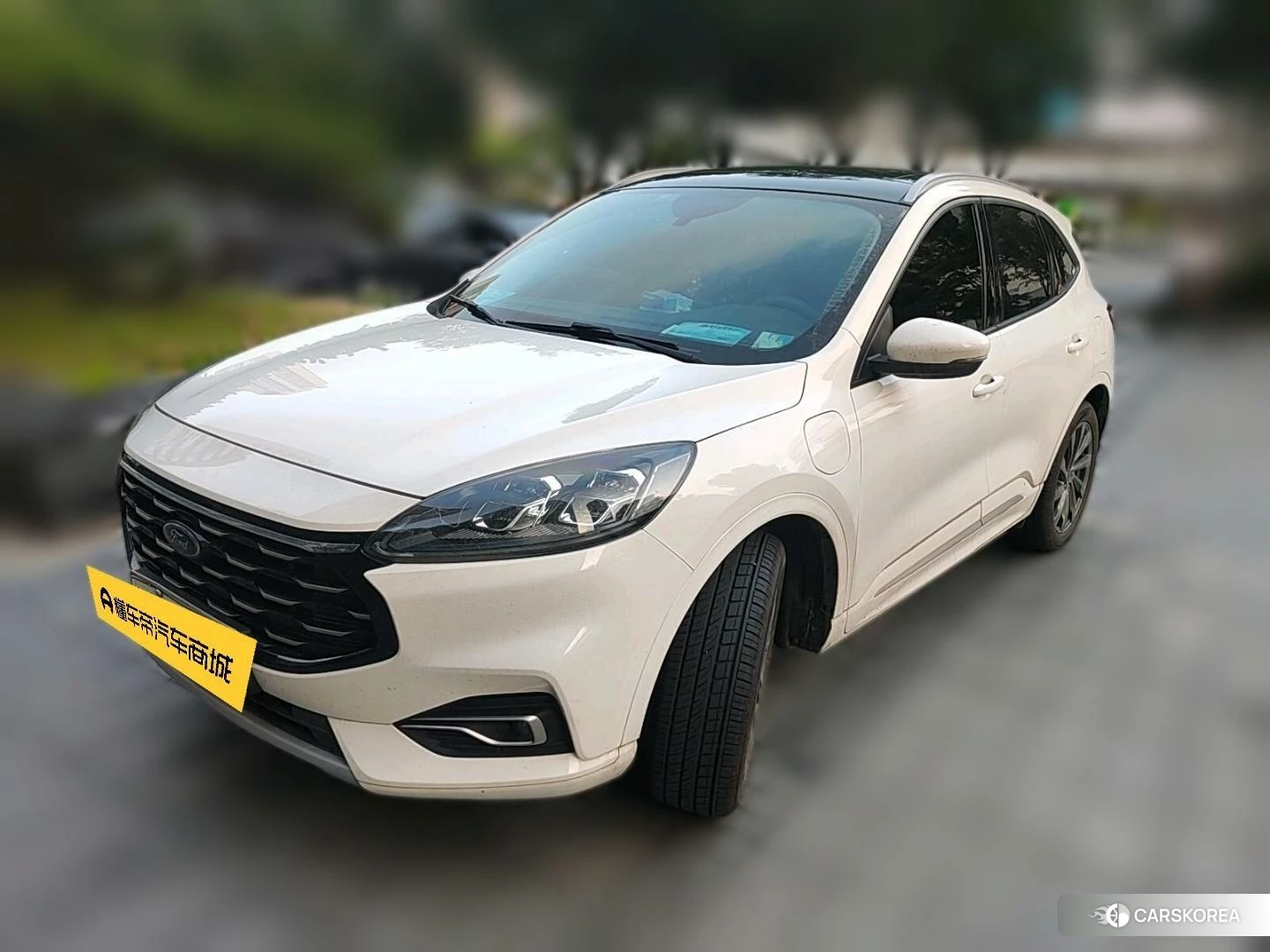 Ford Ruiji PHEV 2021 Белый из Китая, фото 2