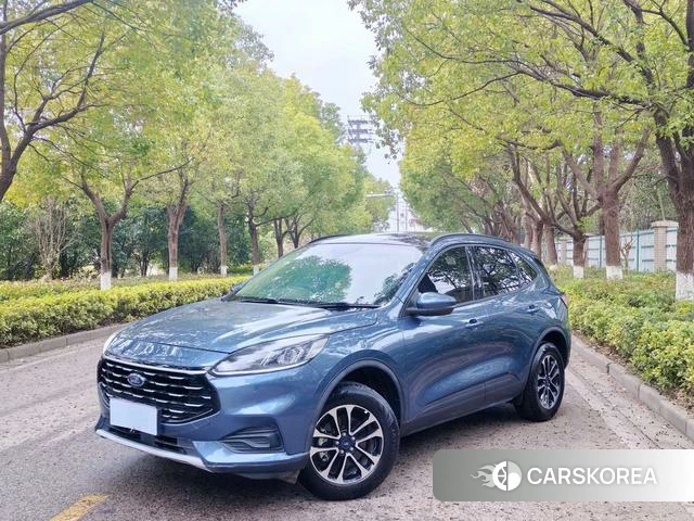 Ford Ruiji 2021 Синий из Китая, фото 2