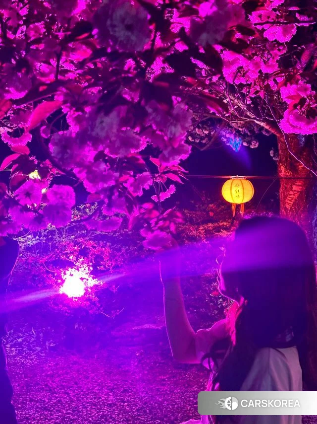 Genesis G80 (RG3) id 4222961 из Кореи 2