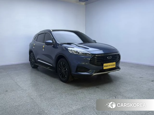 Ford Ruiji 2024 Синий из Китая, фото 2