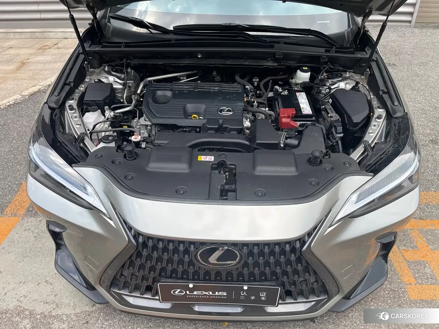 Lexus NX 2022 Silver/gray из Китая, фото 2