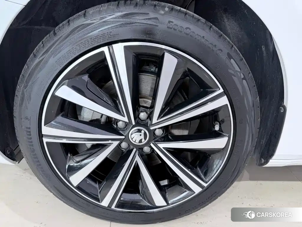Skoda Speed pie 2023 Белый из Китая, фото 2