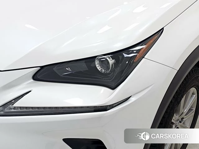 Lexus NX 2021 Белый из Китая, фото 2
