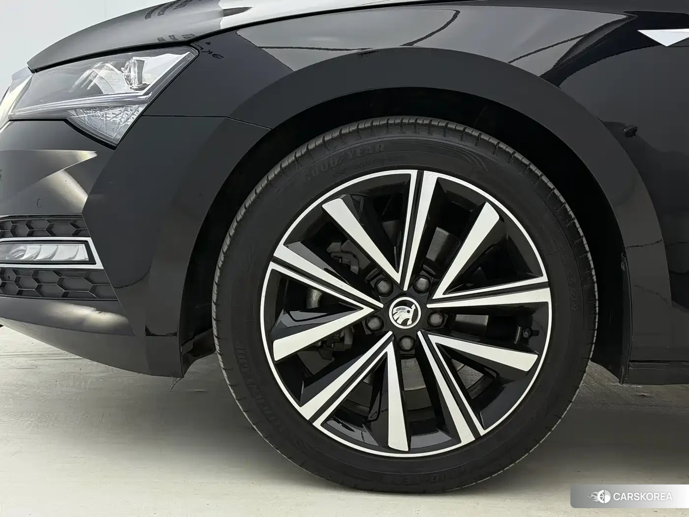 Skoda Speed pie 2023 Черный из Китая, фото 2