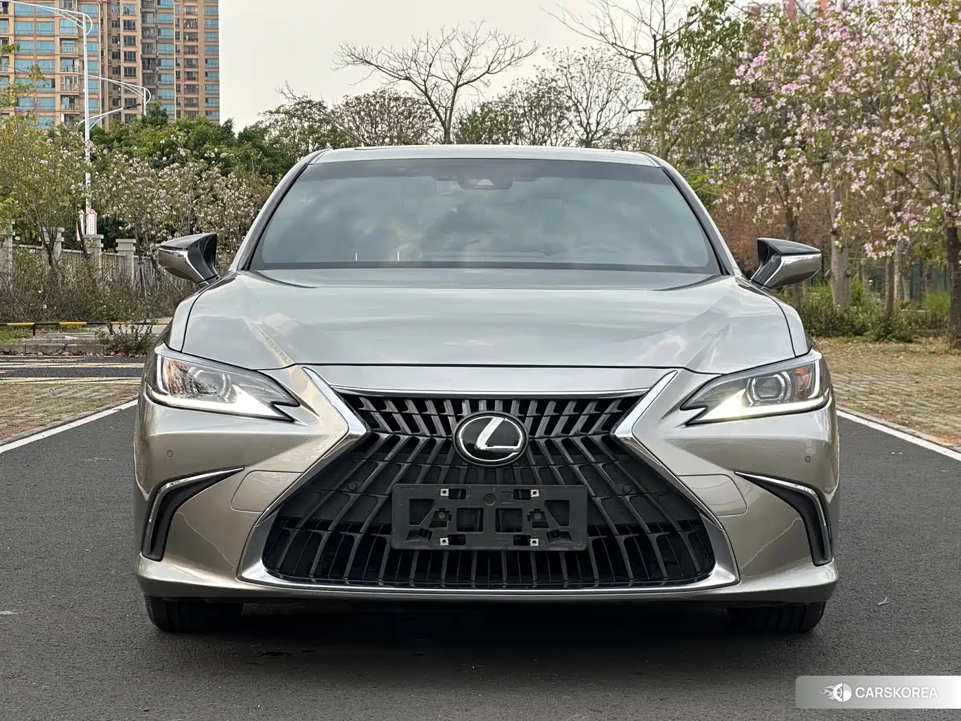 Lexus ES 2023 Silver/gray из Китая, фото 2