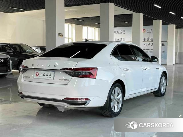 Skoda Speed pie 2021 Белый из Китая, фото 2