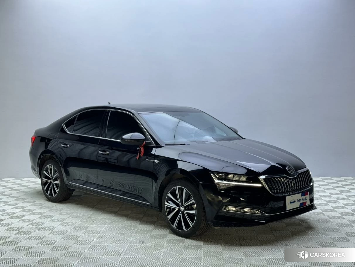 Skoda Speed pie 2022 Черный из Китая, фото 2