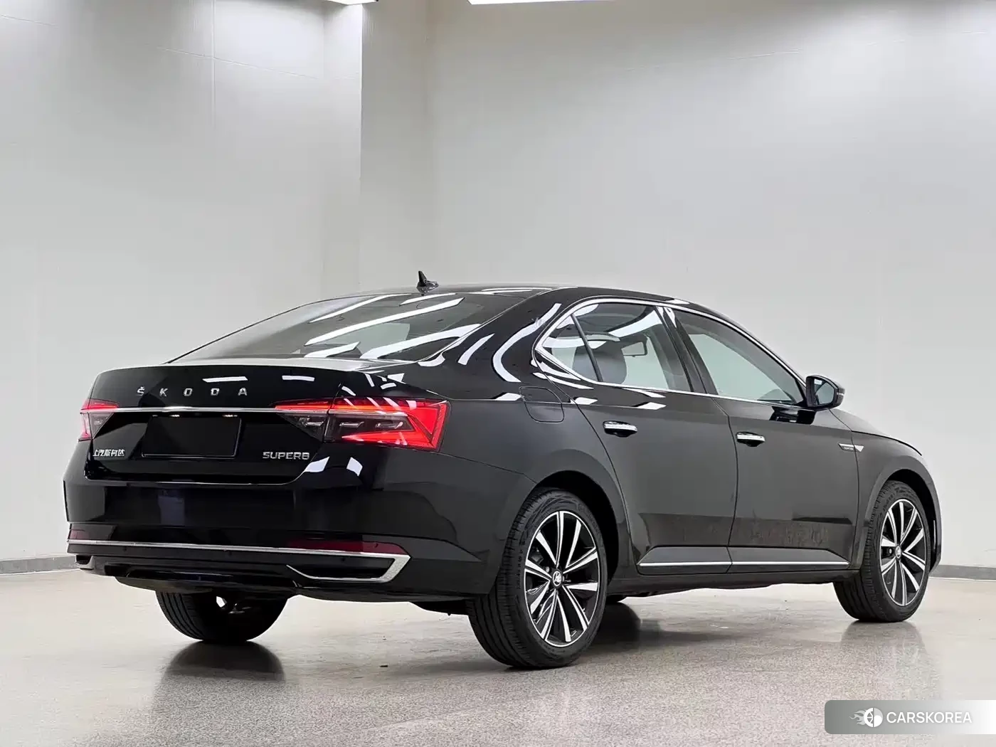 Skoda Speed pie 2025 Черный из Китая, фото 2