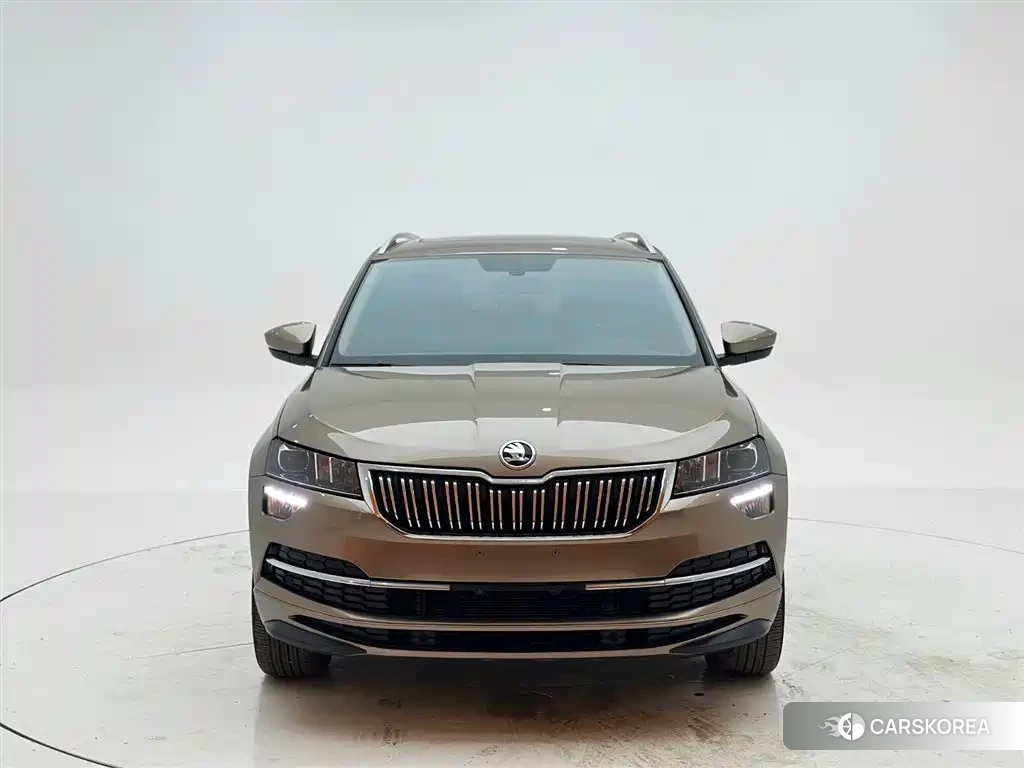 Skoda Krok 2022 Champagne/brown из Китая, фото 2