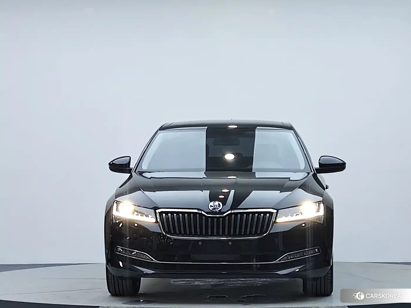 Skoda Speed pie 2024 Черный из Китая, фото 2