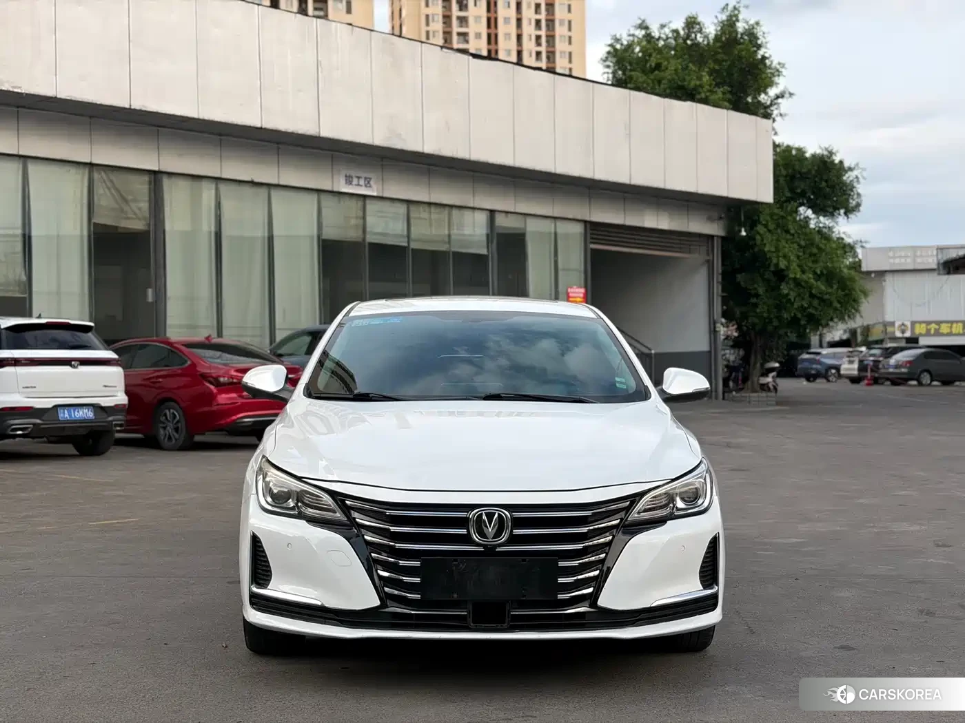 Chang'an Ruicheng CC 2022 Белый из Китая, фото 2