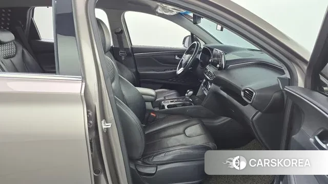 Hyundai Santa Fe TM 2018 Цвет тростника из Кореи, фото 2