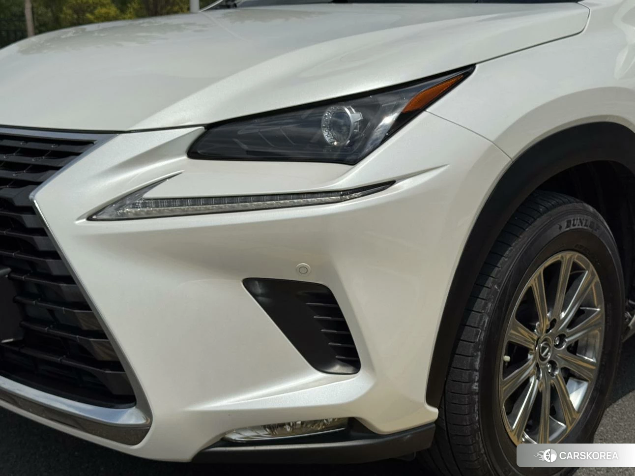 Lexus NX 2019 Белый из Китая, фото 2