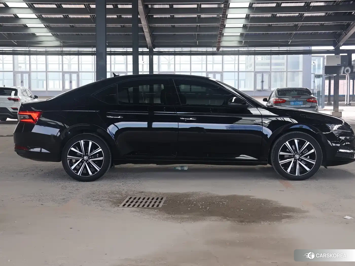 Skoda Speed pie 2023 Черный из Китая, фото 2