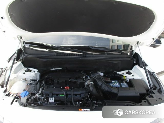 Kia The New Seltos 2023 Белый из Кореи, фото 2