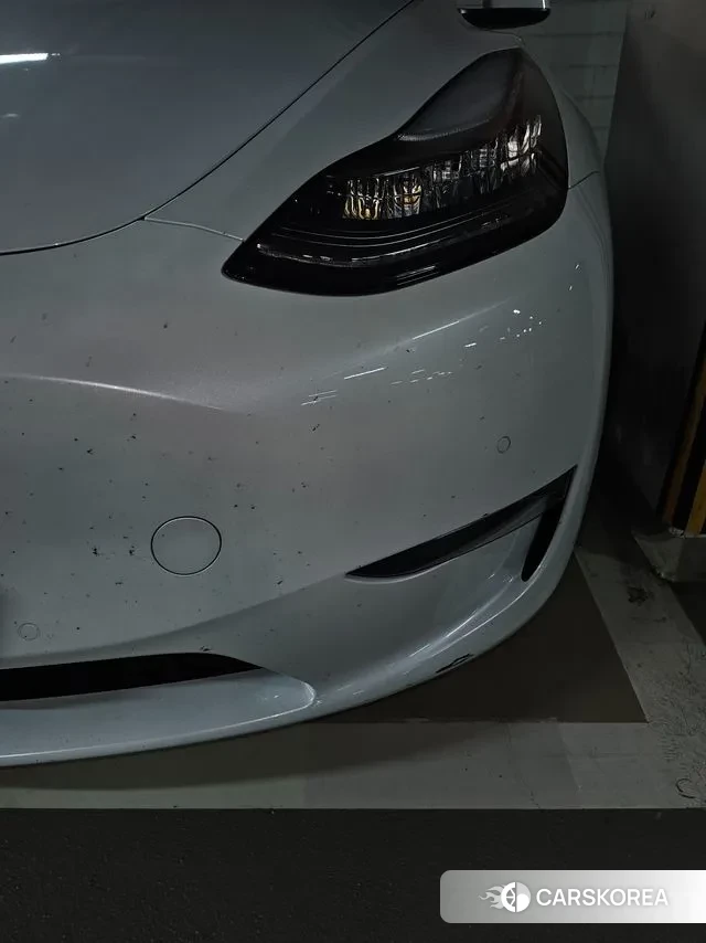 Tesla Model Y 2021 Белый из Кореи, фото 2