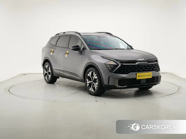 Kia Lion Platinum expands the world 2023 Темно-серый из Китая, фото 2