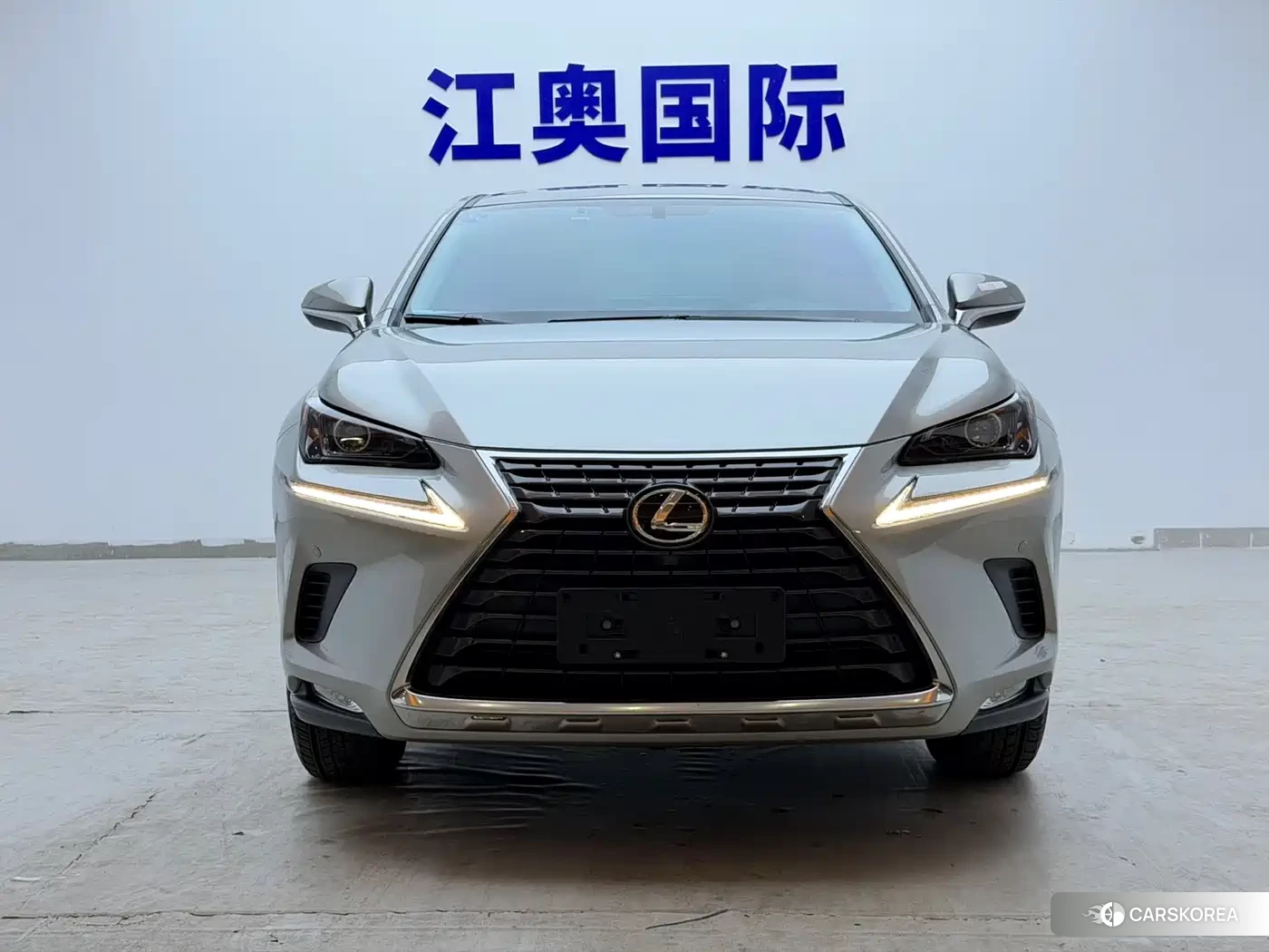 Lexus NX 2021 Silver/gray из Китая, фото 2