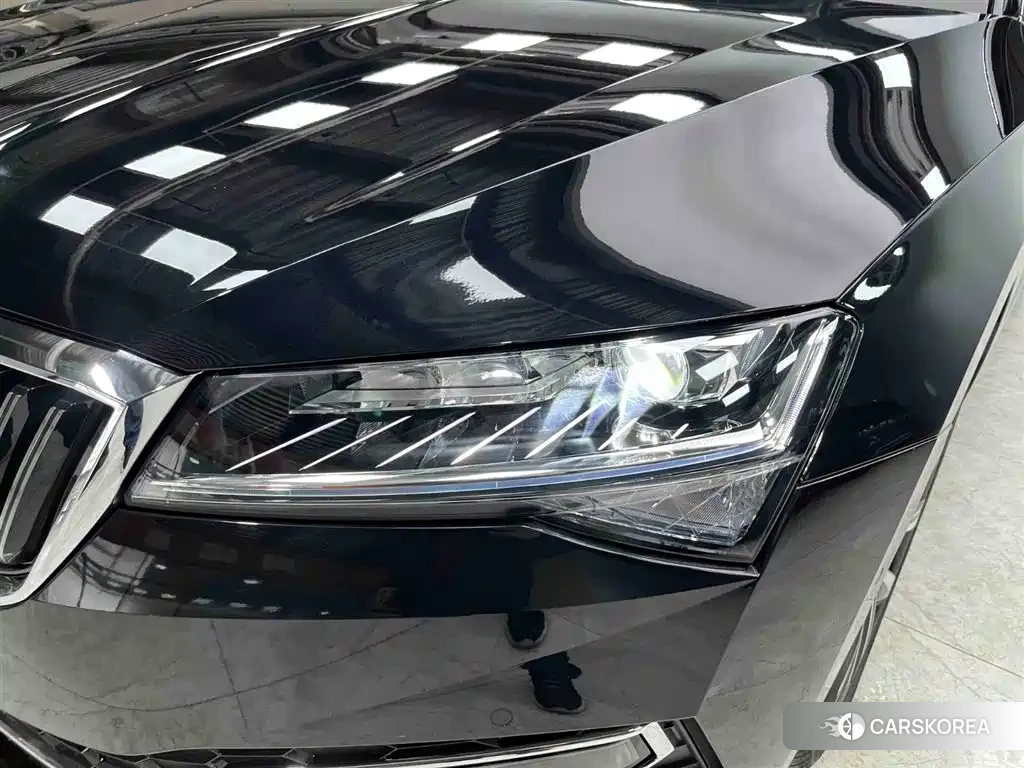 Skoda Speed pie 2024 Черный из Китая, фото 2