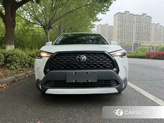 Toyota Corolla Sharp amplifier 2023 Белый из Китая, фото 2