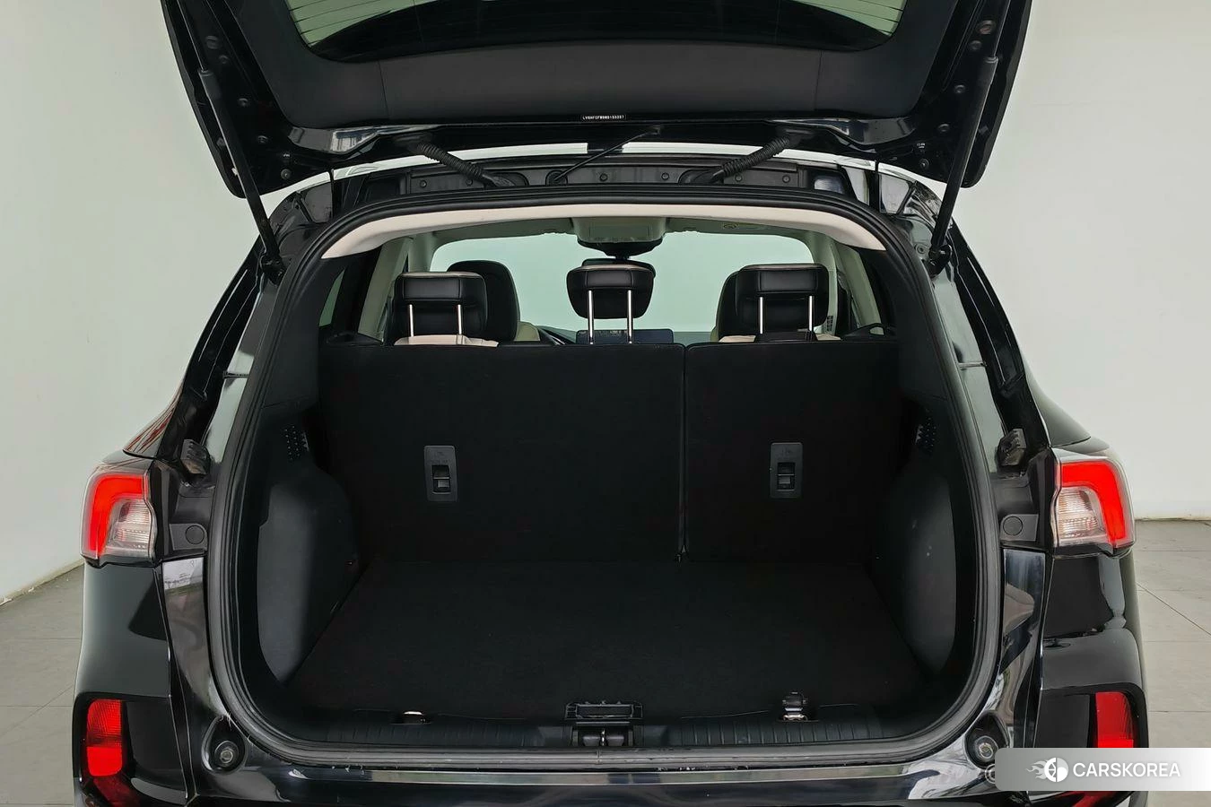 Ford Ruiji PHEV 2021 Черный из Китая, фото 2