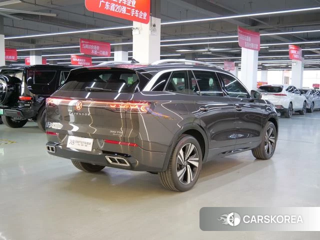 Volkswagen Range patrol 2023 Черный из Китая, фото 2