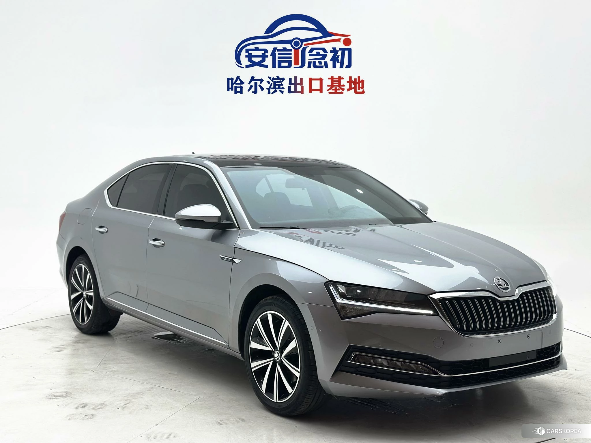 Skoda Speed pie 2023 Серебристо-серый из Китая, фото 2