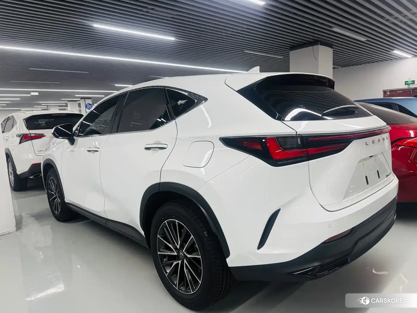 Lexus NX 2026 Белый из Китая, фото 3