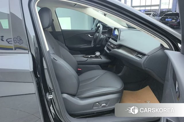 Red flag E-QM5 2023 Черный из Китая, фото 2