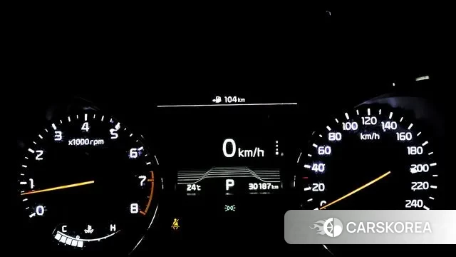 Kia The New Carnival 2019 Белый из Кореи, фото 2